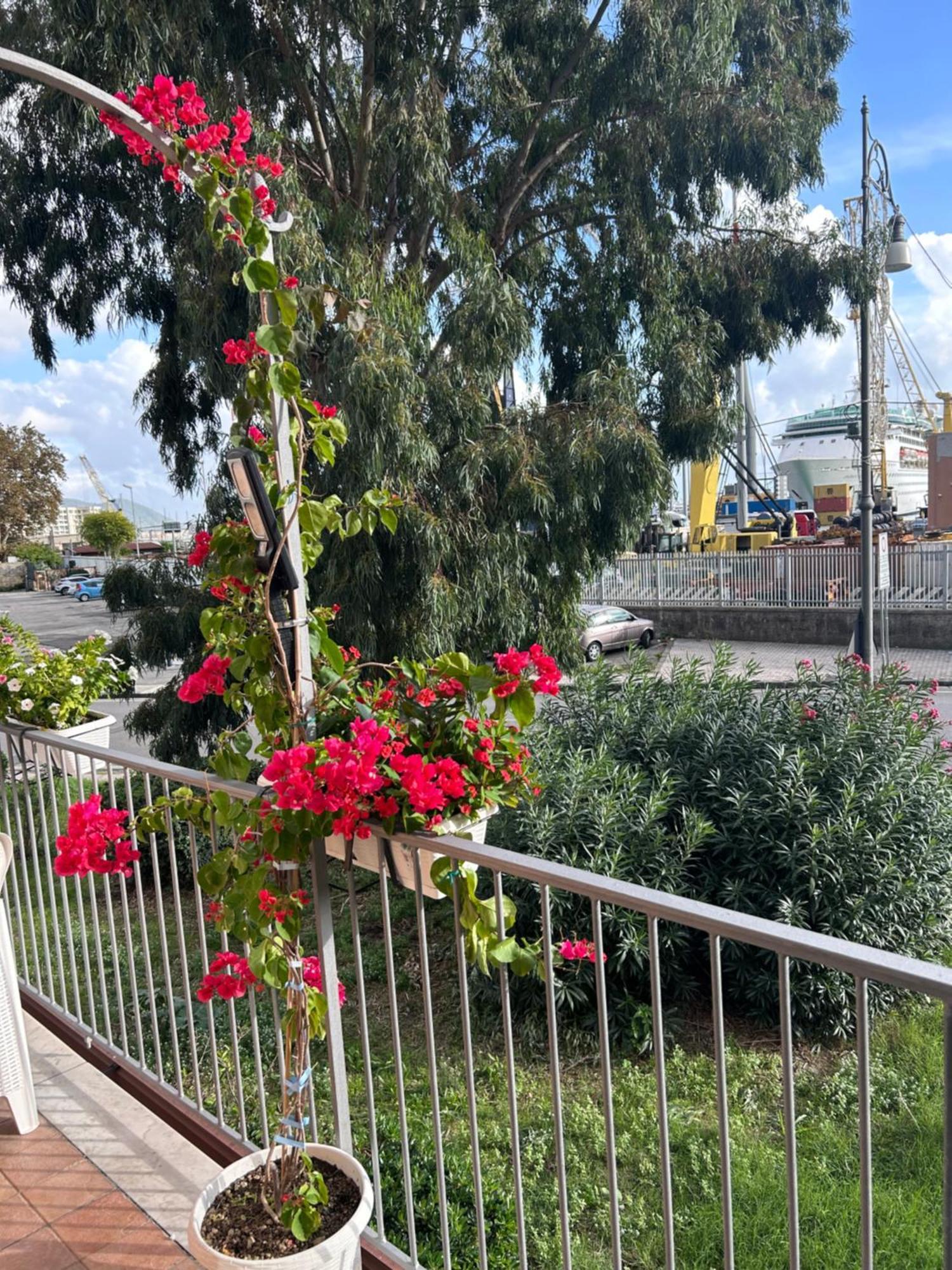 דירות Sissi House סלרנו מראה חיצוני תמונה