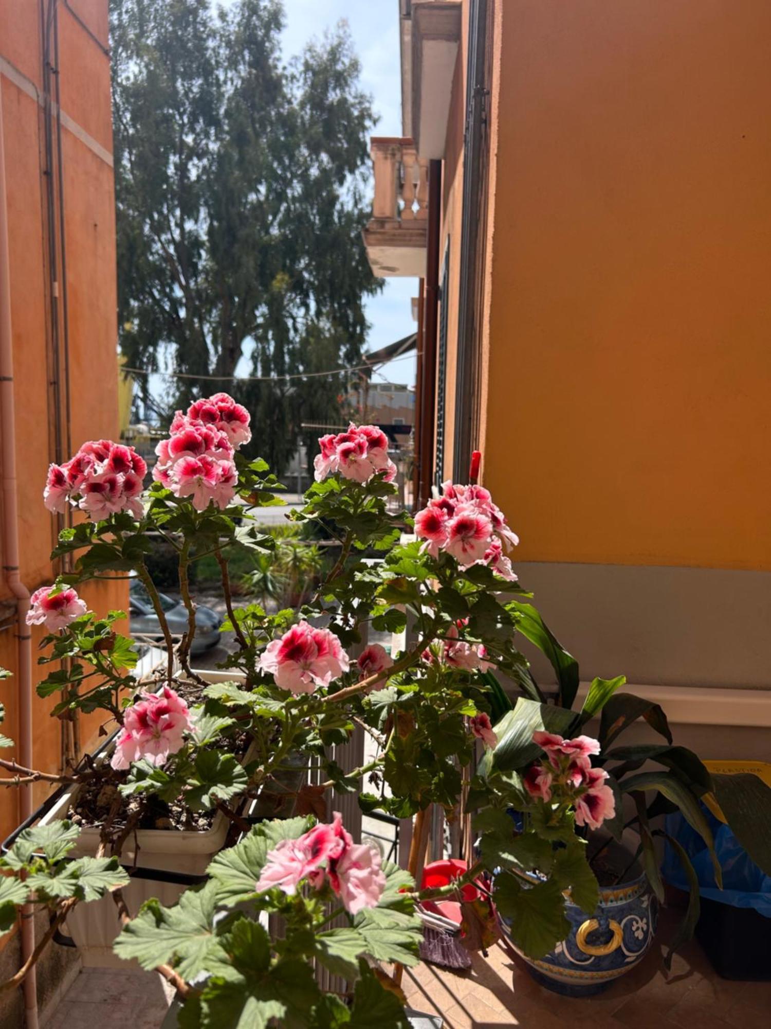 דירות Sissi House סלרנו מראה חיצוני תמונה